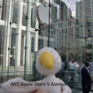 04 new york apple store V avenue 2011