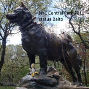 18 new york central park statua balto 2011